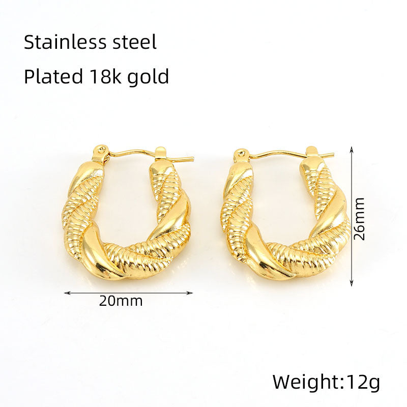 Titanium Steel Earrings