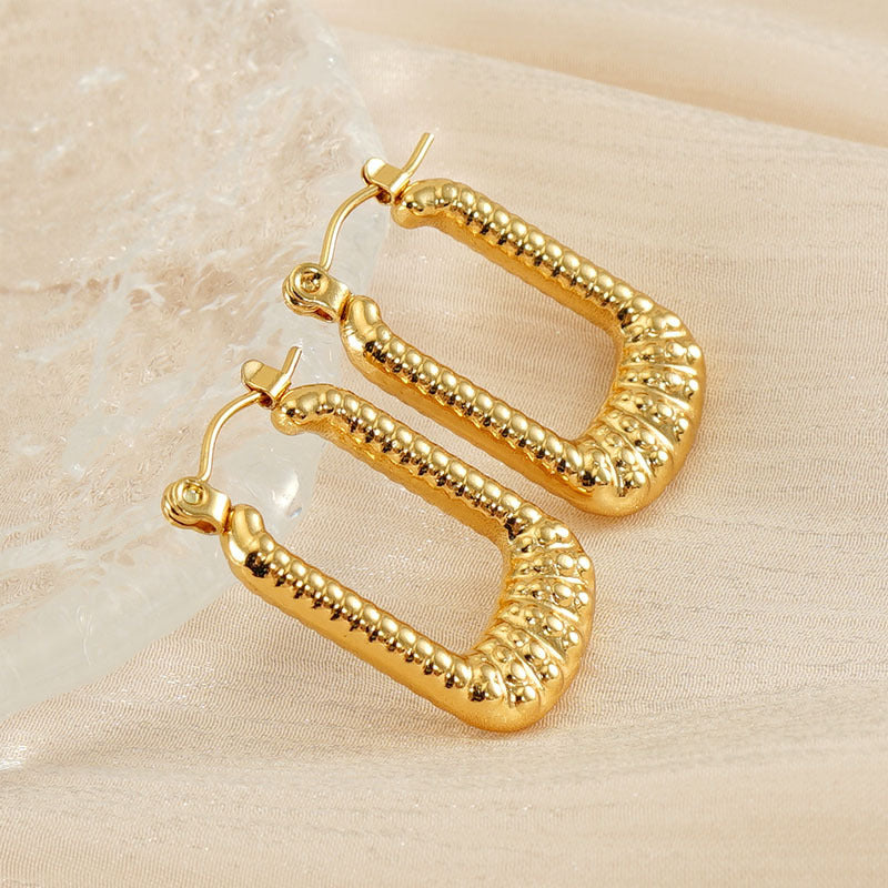 Titanium Steel Earrings