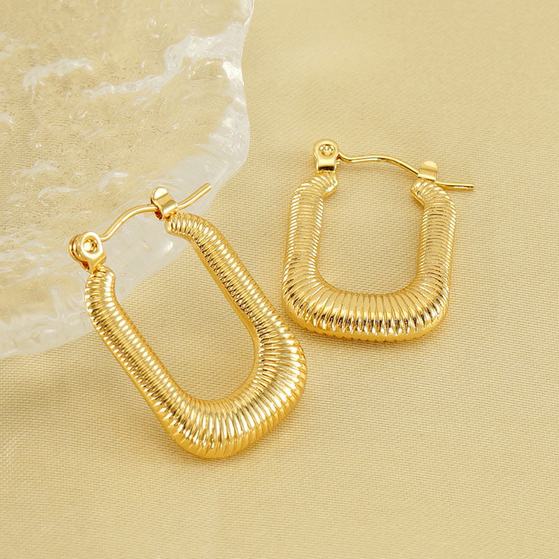 Titanium Steel Earrings