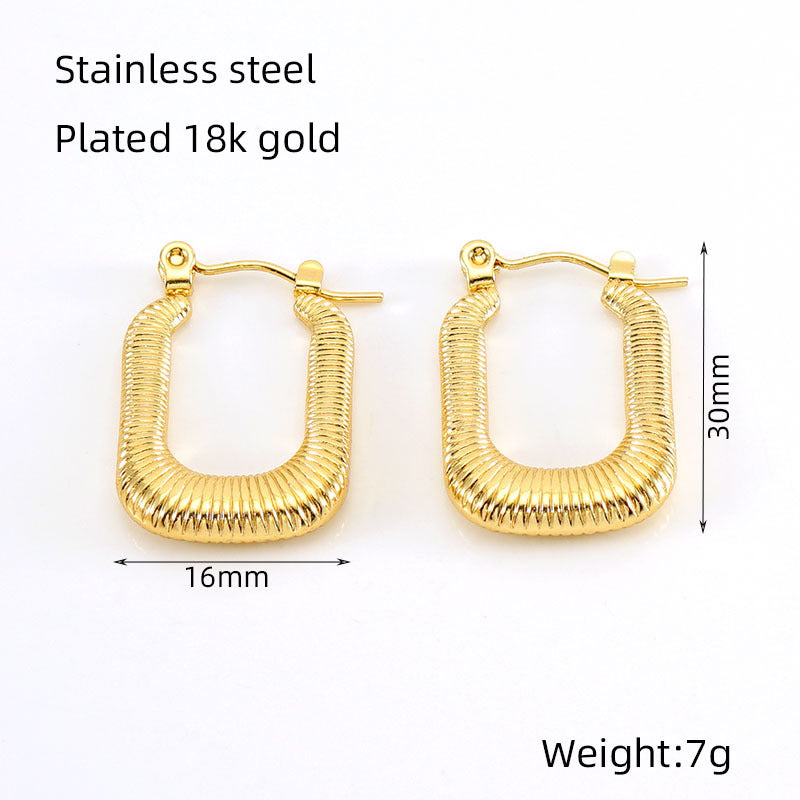 Titanium Steel Earrings