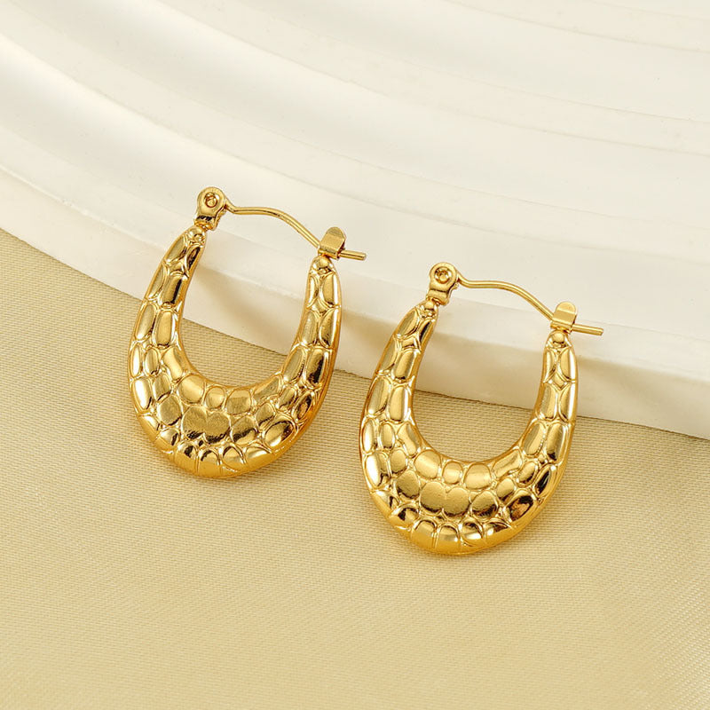 Titanium Steel Earrings